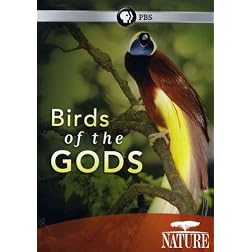Nature: Birds of the Gods