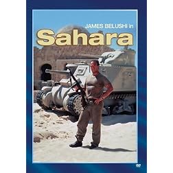 Sahara (1995)