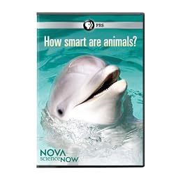Nova Science Now: How Smart Are Animals
