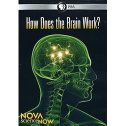 Nova Science Now: How Does the Brain Work