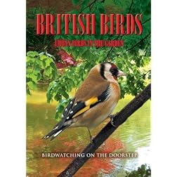 British Birds: Urban Birds in the Garden