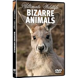 Ultimate Wildlife: Bizarre Animals