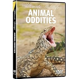 Ultimate Wildlife: Animal Oddities