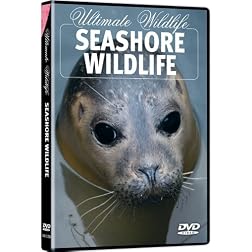 Ultimate Wildlife: Seashore Wildlife