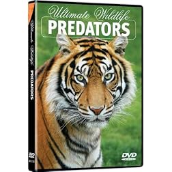 Ultimate Wildlife: Predators