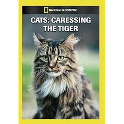 Cats: Caressing the Tiger