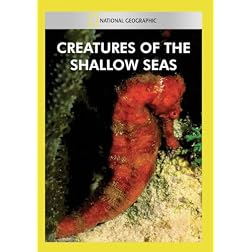 Creatures of the Shallow Seas