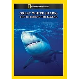 Great White Shark: Truth Behind The Legend