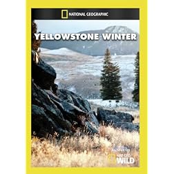 Yellowstone Winter