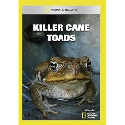 Killer Cane Toads