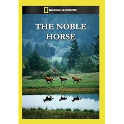 The Noble Horse