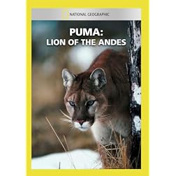 Puma: Lion of the Andes