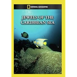 Jewels of the Caribbean Sea