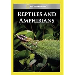 Reptiles and Amphibians