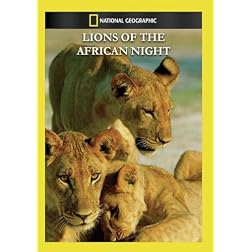 Lions of the African Night