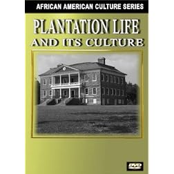 Plantation Systems in the South (Black History)