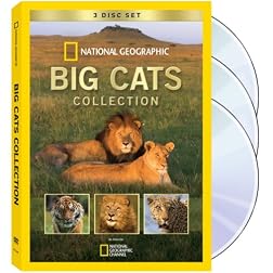 Big Cats Collection