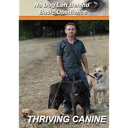 No Dog Left Behind: Basic Obedience