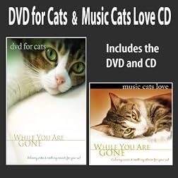 DVD For Cats + Music Cats Love CD: DVD/CD SET (While You Are Gone) Cat Music Cat DVD
