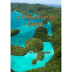 A Celebration of Coral