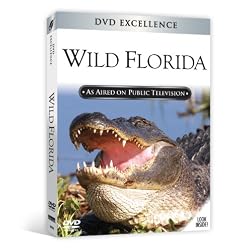 Wild Florida