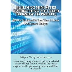 Building Mini Sites (Everything You Need To Know To Profit)