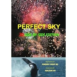 PERFECT SKY (3D Side-by-side Edition)