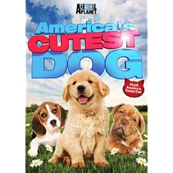 America's Cutest Dog
