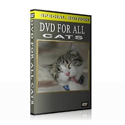 DVD for all Cats (When you are not at home)