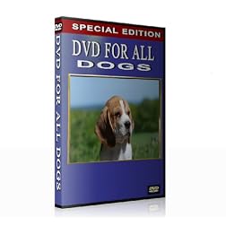 DVD for all Dogs (When you are not at home)