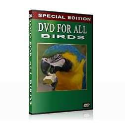 DVD for all Birds (When you are not at home)