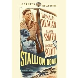 Stallion Road