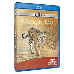 Nature: Broken Tail: A Tiger's Last Journey [Blu-ray]