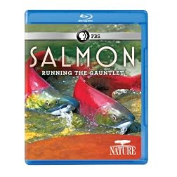 Nature: Salmon [Blu-ray]