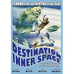 Destination Inner Space