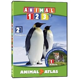 Animal Atlas 123s