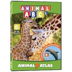 Animal Atlas ABCs