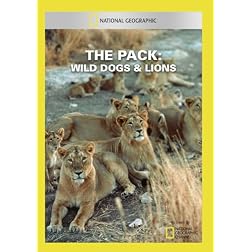 The Pack: Wild Dogs & Lions