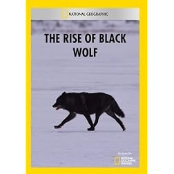 The Rise of Black Wolf
