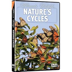 Ultimate Wildlife: Nature's Cycles