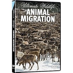 Ultimate Wildlife: Animal Migration