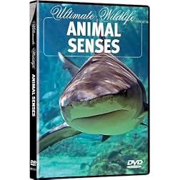 Ultimate Wildlife: Animal Senses