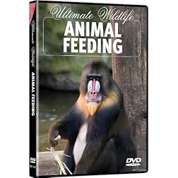 Ultimate Wildlife: Animal Feeding