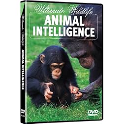 Ultimate Wildlife: Animal Intelligence