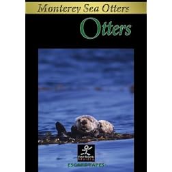 Otters: Monterey Bay Relaxing Nature Video/Nature Sounds
