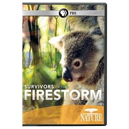 Nature: Survivors of the Firestorm