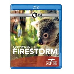 Nature: Survivors of the Firestorm [Blu-ray]