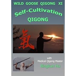 Wild Goose-XI: Self-Cultivation Qigong