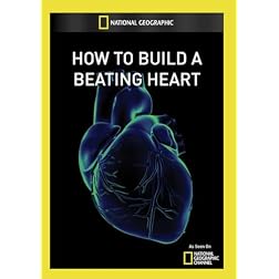 How to Build a Beating Heart