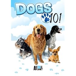 Dogs 101